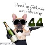 44. Geburtstag Geburtstagssprüche