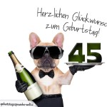 45. Geburtstag Geburtstagssprüche