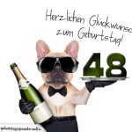 48. Geburtstag Geburtstagssprüche