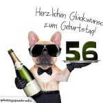 56. Geburtstag Geburtstagssprüche