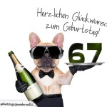 67. Geburtstag Geburtstagssprüche