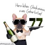 77. Geburtstag Geburtstagssprüche