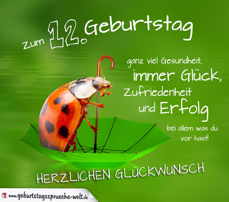 12. Geburtstag Karte Herzlichen Glückwunsch GeburtstagssprücheWelt