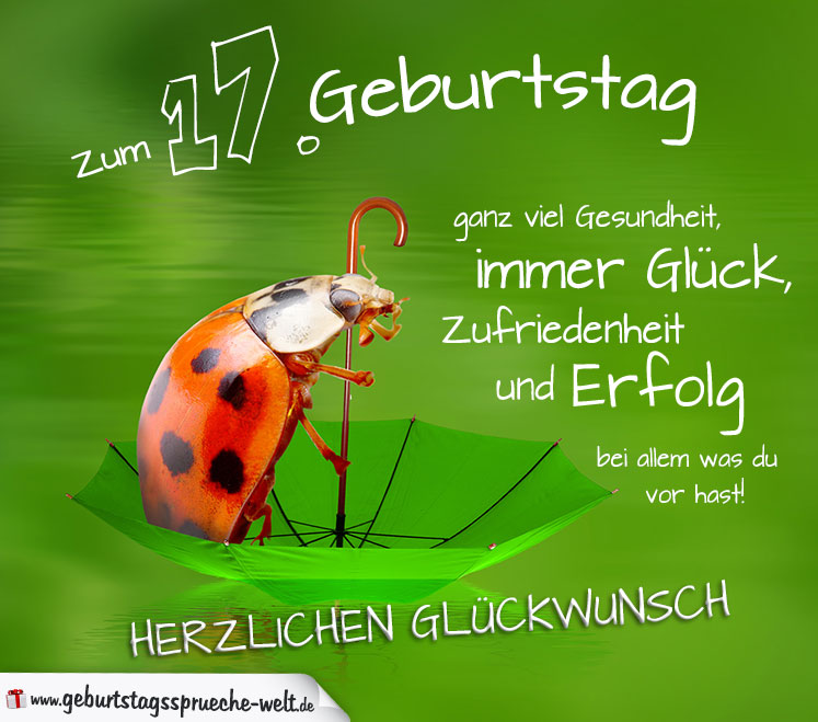 17. Geburtstag Karte Herzlichen Glückwunsch GeburtstagssprücheWelt