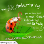 Geburtstagskarte mit Marienkäfer auf Regenschirm zum 20. Geburtstag