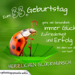 Geburtstagskarte mit Marienkäfer auf Regenschirm zum 33. Geburtstag