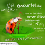 Geburtstagskarte mit Marienkäfer auf Regenschirm zum 63. Geburtstag