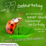 Geburtstagskarte mit Marienkäfer auf Regenschirm zum 77. Geburtstag
