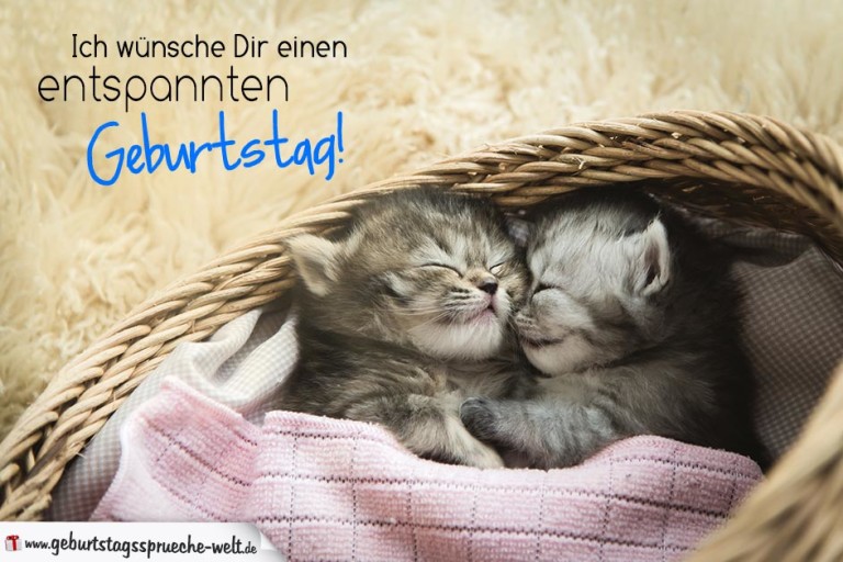 Geburtstagskarte mit Babykatzen Entspannter Geburtstag