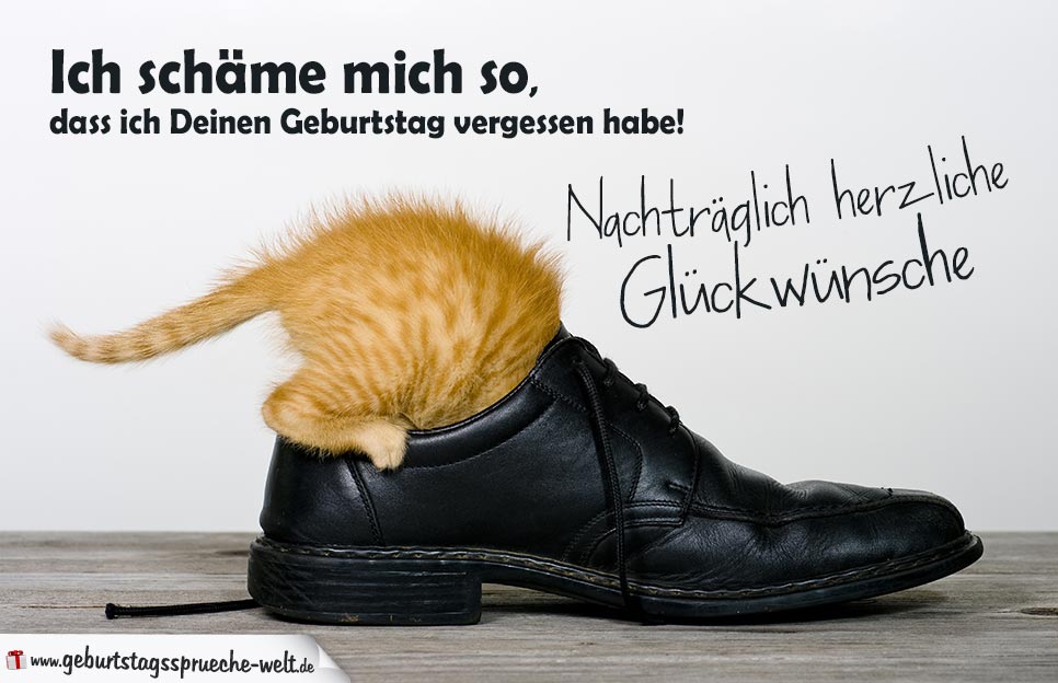 Nachträgliche Geburtstagskarte Geburtag vergessen mit Katze im Schuh GeburtstagssprücheWelt