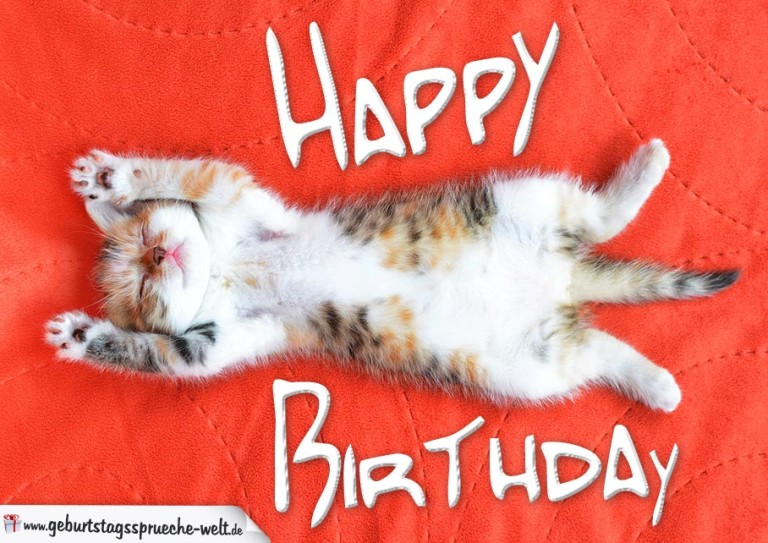 Happy Birthday Karte mit schlafender Katze