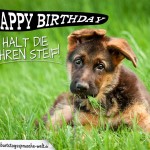 Karte zum Geburtstag mit Hund