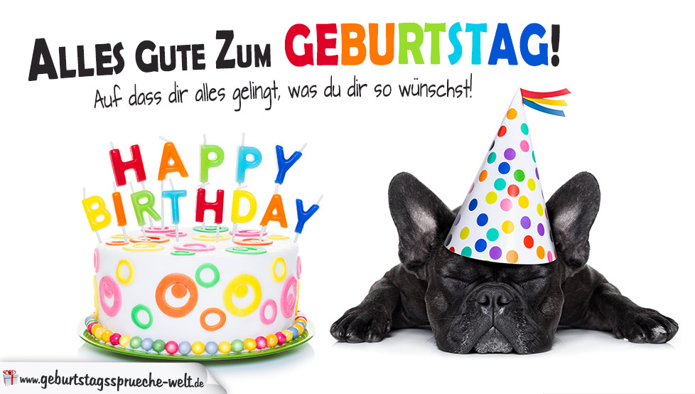 Wünsche zum Geburtstag - Alles Gute mit Torte und Hund