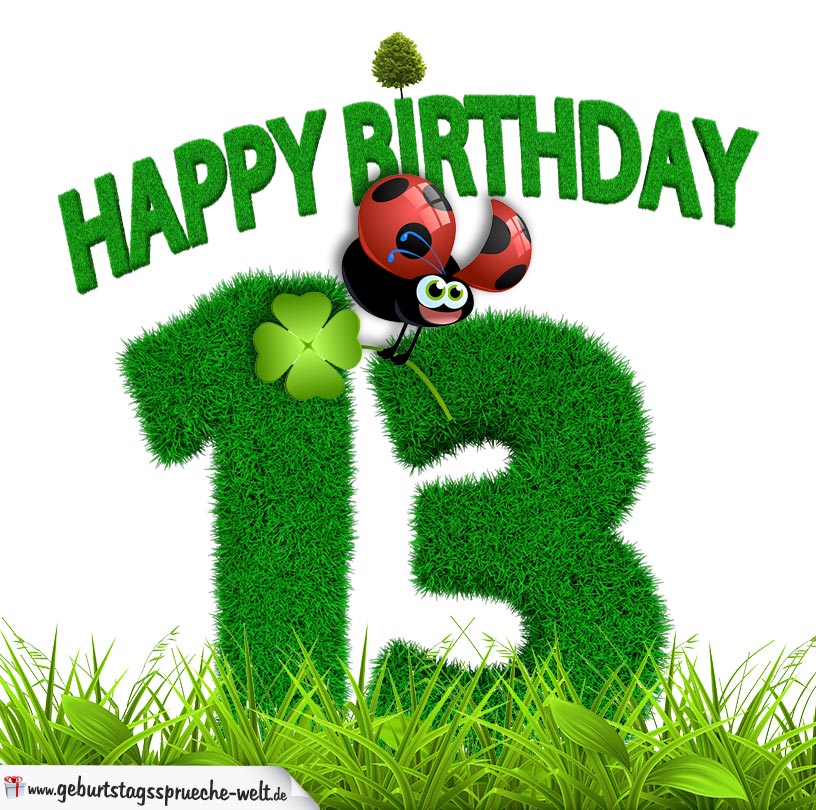 13. Geburtstag als Graszahl Happy Birthday GeburtstagssprücheWelt