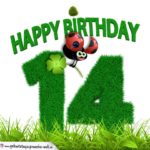 14. Geburtstag als Graszahl Happy Birthday