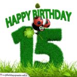 15. Geburtstag als Graszahl Happy Birthday
