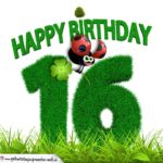16. Geburtstag als Graszahl Happy Birthday