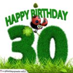 30. Geburtstag als Graszahl Happy Birthday