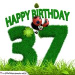 37. Geburtstag als Graszahl Happy Birthday