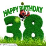 38. Geburtstag als Graszahl Happy Birthday