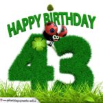43. Geburtstag als Graszahl Happy Birthday