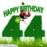 44. Geburtstag als Graszahl Happy Birthday