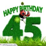 45. Geburtstag als Graszahl Happy Birthday