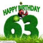 63. Geburtstag als Graszahl Happy Birthday