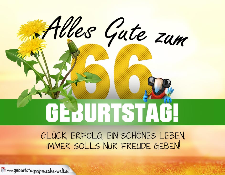 45++ Sprueche 66 geburtstag lustige ideas