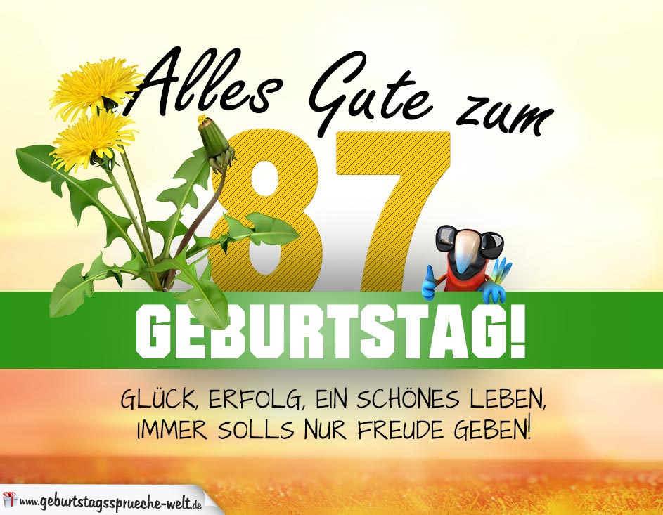 87. Geburtstag Geburtstagskarte ALLES GUTE mit schönem Spruch