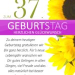 Schlichte Geburtstagskarte mit Sonnenblumen zum 37. Geburtstag