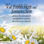 Spruch zum Geburtstag - Voll Fröhlichkeit und Sonnenschein